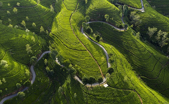 联络我们 联络我们